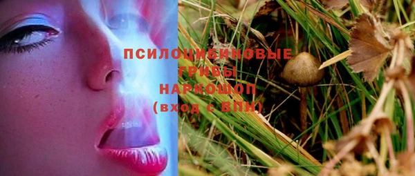 круглые Алексеевка