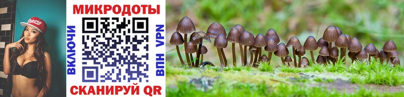 Галлюциногенные грибы Psilocybine cubensis  Тюмень 